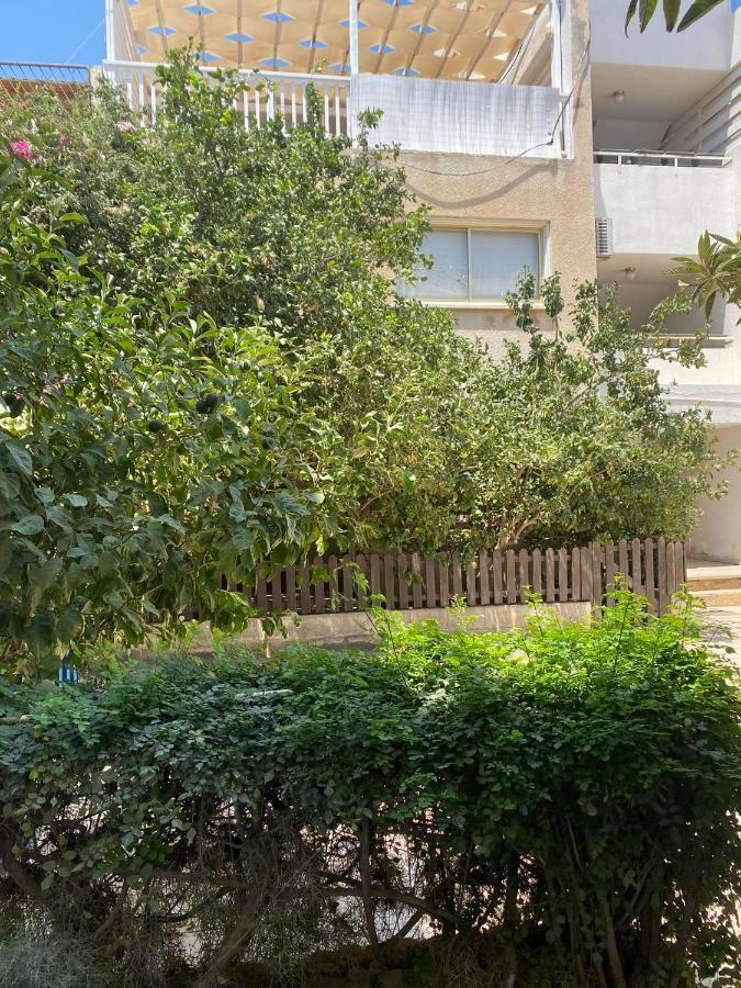 Stay With Oleg C17 Paralimni Exterior foto